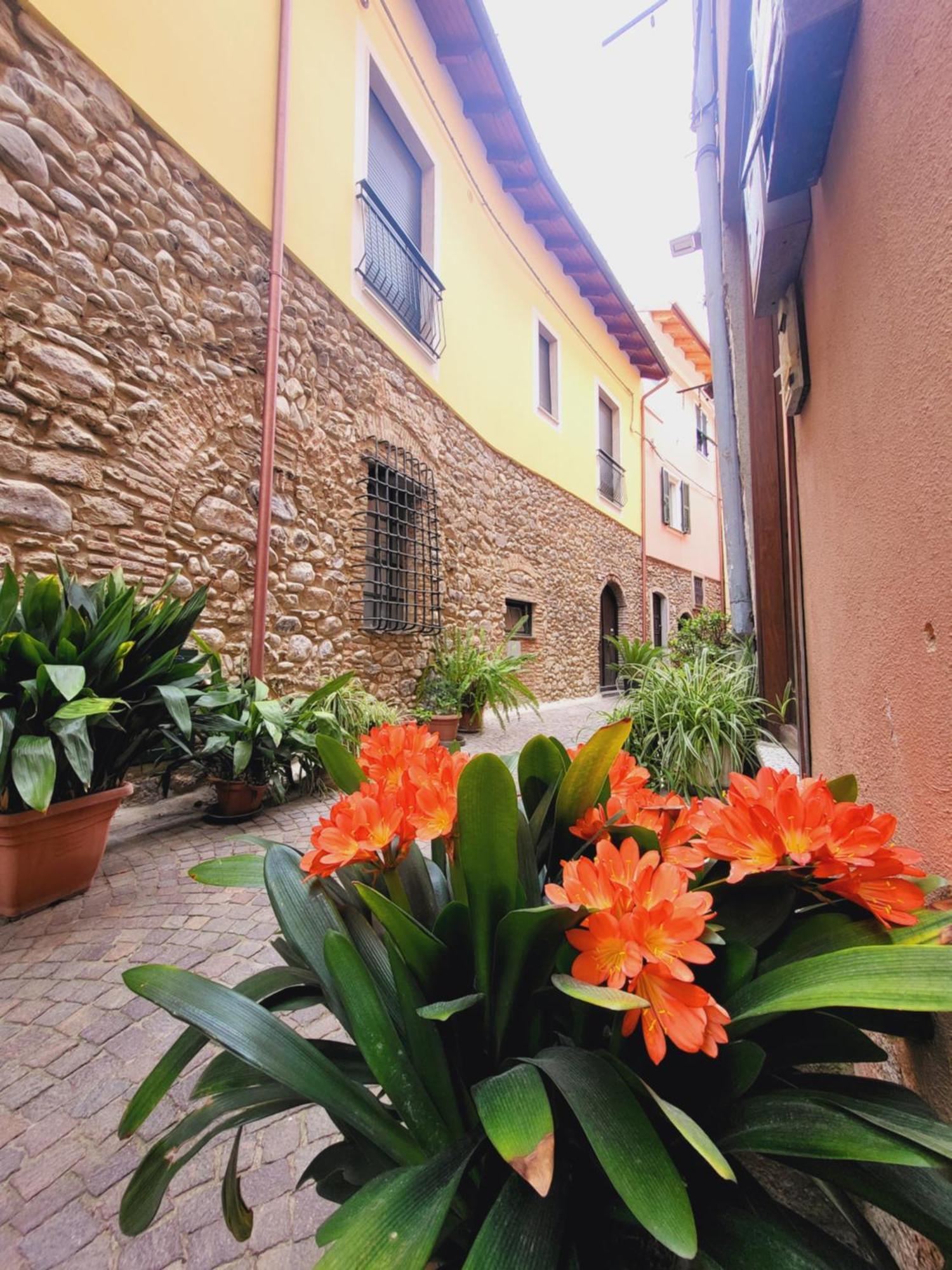 Salvia E Rosmarino - Affittacamere In Liguria Villanova d'Albenga Exterior photo